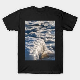 Baltic Sea T-Shirt